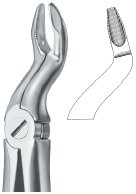 tooth ext forceps ai 02 51 27