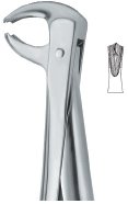 tooth ext forceps ai 02 51 31