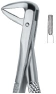 tooth ext forceps ai 02 51 32