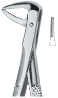 tooth ext forceps ai 02 51 34