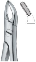 tooth ext forceps ai 02 51 36