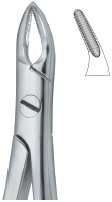 tooth ext forceps ai 02 51 37