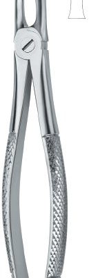 tooth ext forceps ai 02 51 38