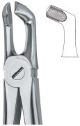 tooth ext forceps ai 02 51 39