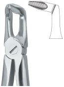 tooth ext forceps ai 02 51 40