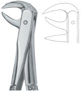 tooth ext forceps ai 02 51 41