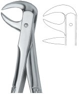 tooth ext forceps ai 02 51 42