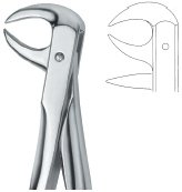 tooth ext forceps ai 02 51 43