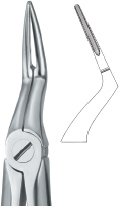 tooth ext forceps ai 02 51 44