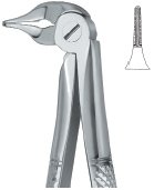 tooth ext forceps ai 02 51 45