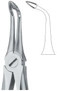 tooth ext forceps ai 02 51 46