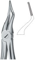 tooth ext forceps ai 02 51 47