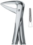 tooth ext forceps ai 02 51 49