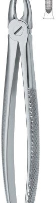tooth ext forceps ai 02 51 50