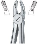 tooth ext forceps ai 02 51 54