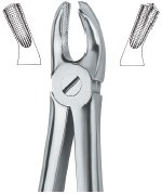 tooth ext forceps ai 02 51 55