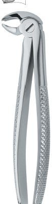 tooth ext forceps ai 02 51 56