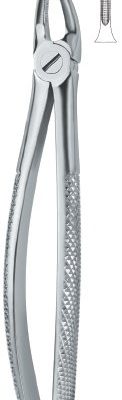 tooth ext forceps ai 02 51 57