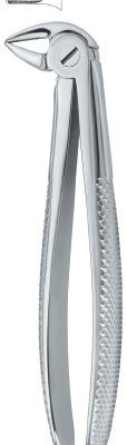 tooth ext forceps ai 02 51 58