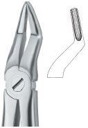 tooth ext forceps ai 02 51 59