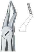 tooth ext forceps ai 02 51 60