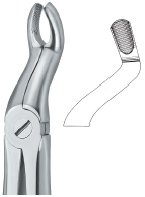 tooth ext forceps ai 02 51 61