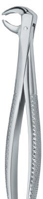 tooth ext forceps ai 02 51 62