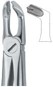 tooth ext forceps ai 02 51 65