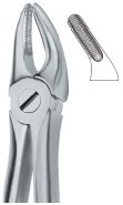 tooth ext forceps ai 02 51 67