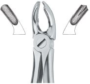 tooth ext forceps ai 02 51 70