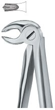 tooth ext forceps ai 02 51 71