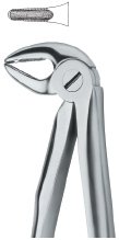 tooth ext forceps ai 02 51 72