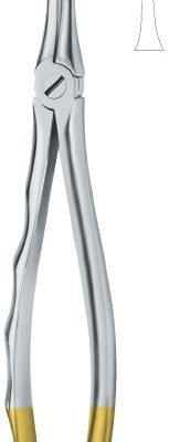 tooth ext forceps ai 02 51 73