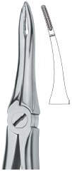 tooth ext forceps ai 02 51 74