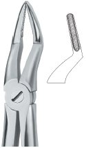 tooth ext forceps ai 02 51 75