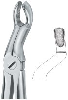 tooth ext forceps ai 02 51 77