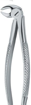 tooth ext forceps ai 02 51 80