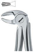 tooth ext forceps ai 02 51 81