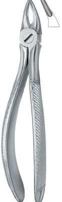 tooth ext forceps ai 02 51 82