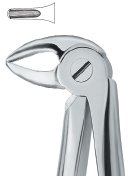 tooth ext forceps ai 02 51 83