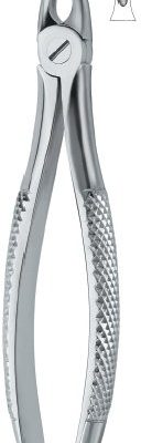 tooth ext forceps ai 02 51 84