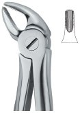 tooth ext forceps ai 02 51 85