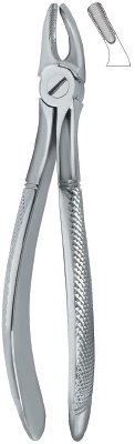 tooth ext forceps ai 02 51 86