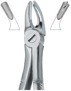 tooth ext forceps ai 02 51 88