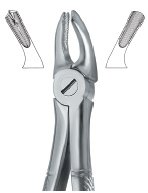 tooth ext forceps ai 02 51 89