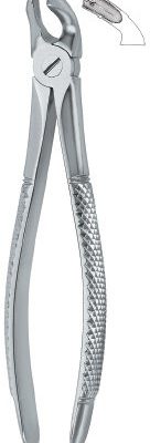 tooth ext forceps ai 02 51 90