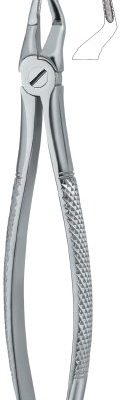 tooth ext forceps ai 02 51 91