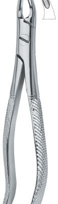 tooth ext forceps ai 02 51 92