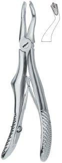 tooth ext forceps ai 02 51 93