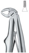 tooth ext forceps ai 02 51 94